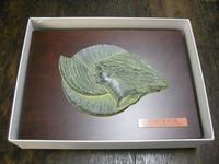 DSCN8598.jpg